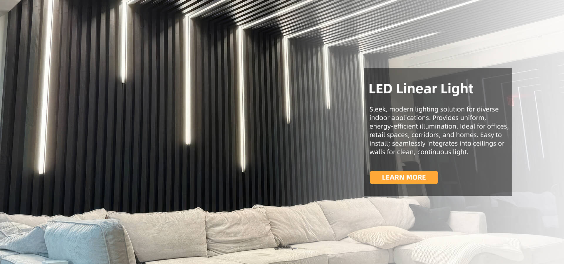 LED Linear Light